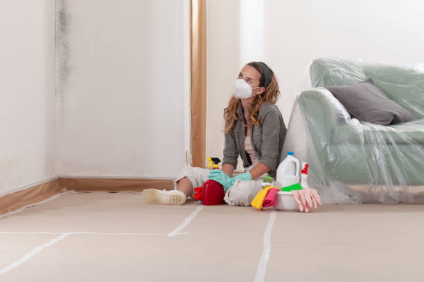 Reliable Commercial Mold Remediation contractor in Ridgefield, WA by WQB Mold Removal